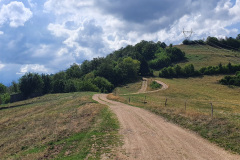 Den_4-42