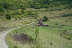Den_5-15