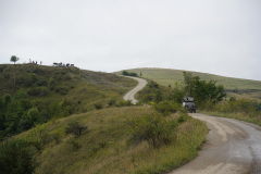 Den_5-6