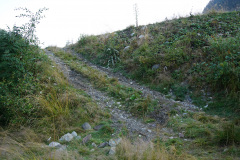 Den_6-2