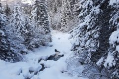 20180119_162921-scaled