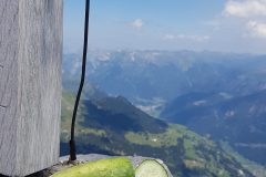 20190811_134633-scaled