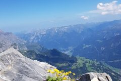 20190811_140728-scaled