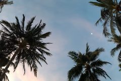 52111491_2284829555092241_7201476969211363328_n-scaled